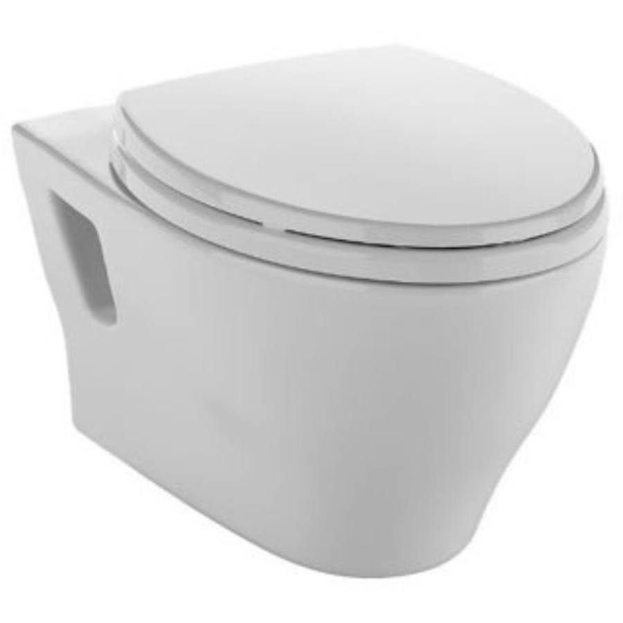 Wall-Mounted Toilets